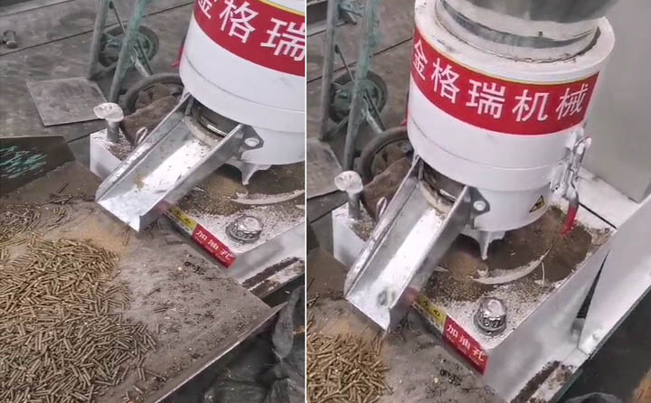 当天进入生产的金格瑞饲料颗?；? width=