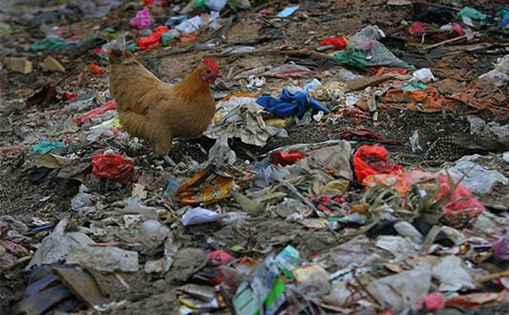 垃圾随处乱放，环境脏乱差