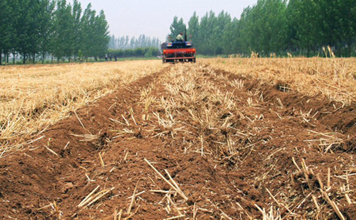 秸秆粉碎还田 秸秆粉碎还田