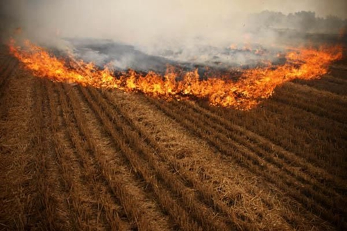田间秸秆被农民一把火烧毁