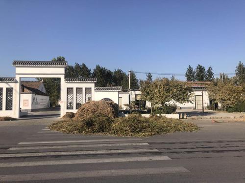 秸秆乱堆现象严重