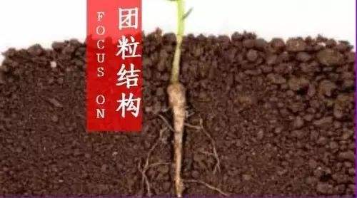 土壤团粒结构 土壤团粒结构