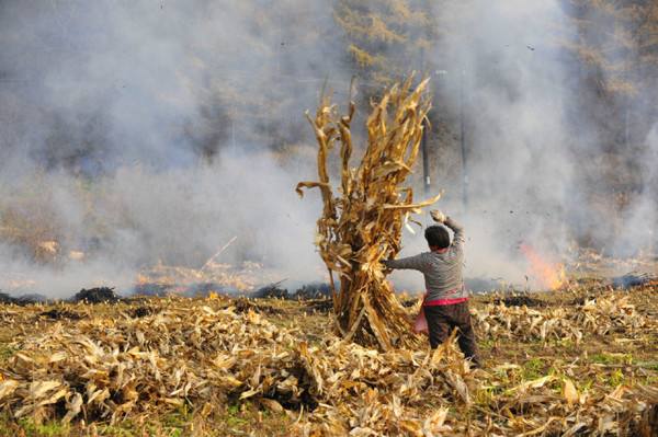 秸秆焚烧