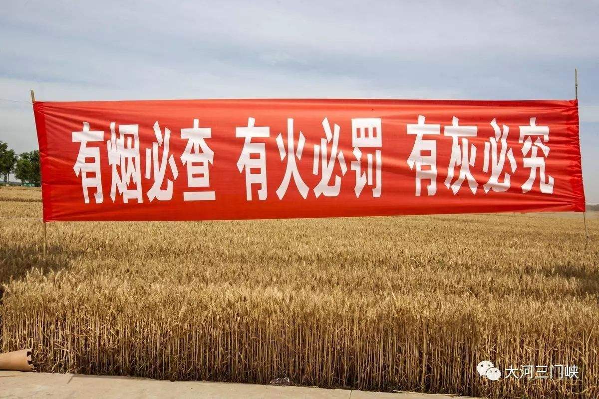 国家禁烧宣传标语