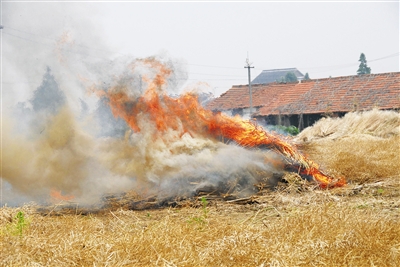 焚烧秸秆造成烟雾弥漫 焚烧秸秆造成烟雾弥漫