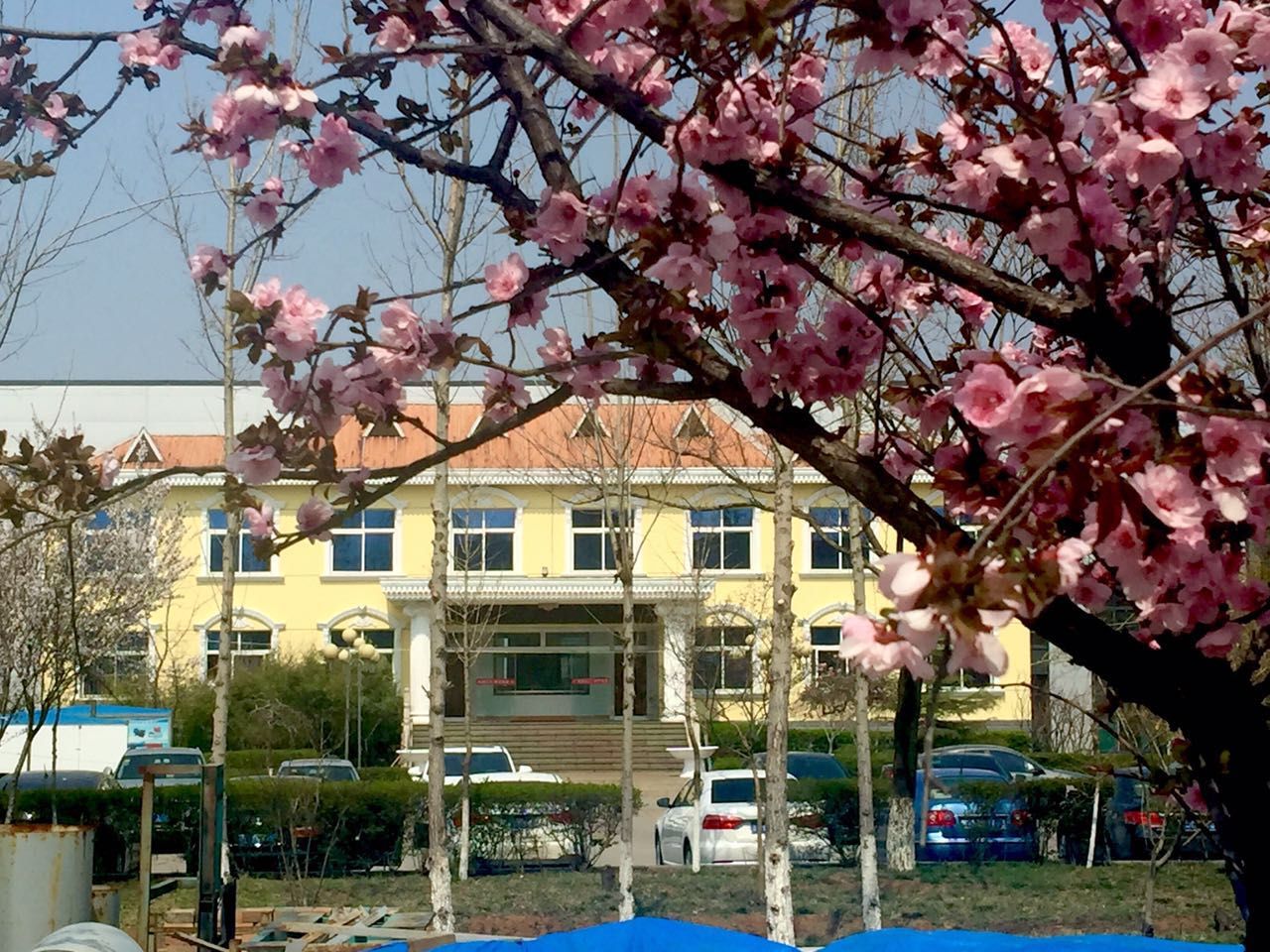 颗?；Ъ? width=