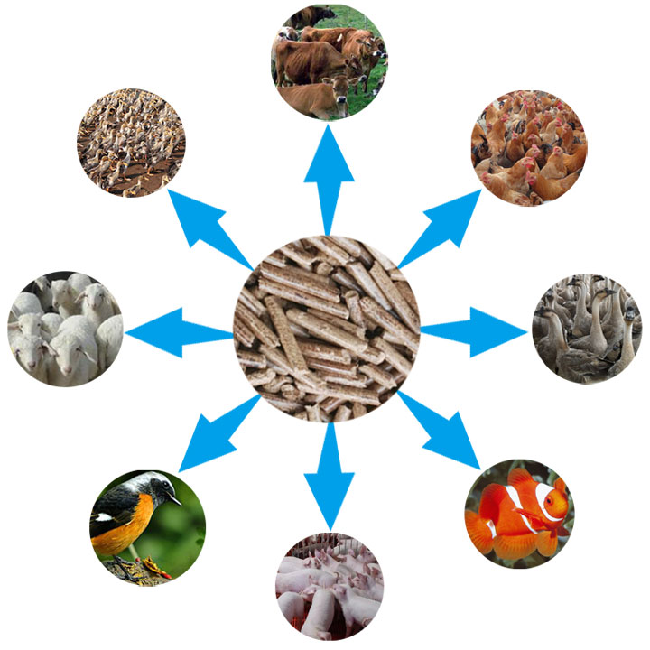 秸秆饲料颗粒多用