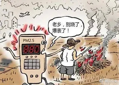 秸秆焚烧导致环境污染