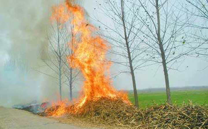 秸秆焚烧屡禁不止