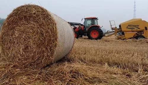 生物质资源综合利用