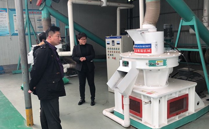 木屑颗?；曰ㄇ?jpg