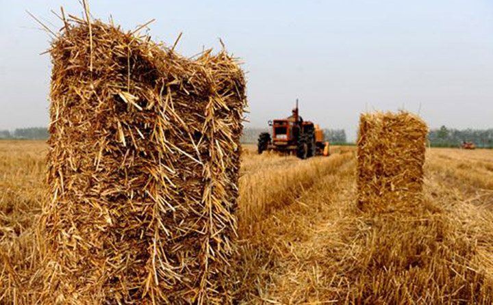 南阳秸秆颗?；?jpg