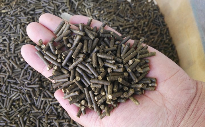 河南秸秆颗?；庸さ目帕?jpg