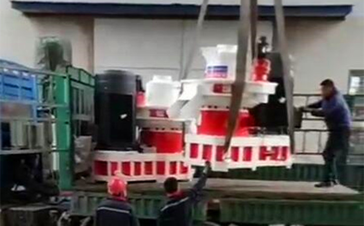 山东临沂木屑颗?；⒒?jpg