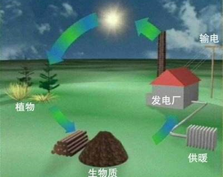 生物质能.jpg