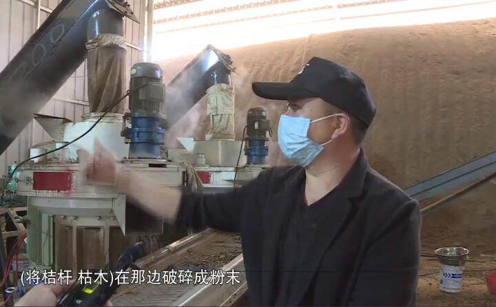 将桔杆、枯木在那边破碎成粉末，然后经过这两个造粒机的碾压，形成这种颗粒燃料出来，形成最后的产品.jpg