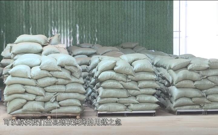造粒机生产下来的生物质燃料颗粒，可以解决全县烟农烘烤的用煤之急，用它替代煤来烤烟，可以解决2万亩烤烟的烘烤燃料.jpg