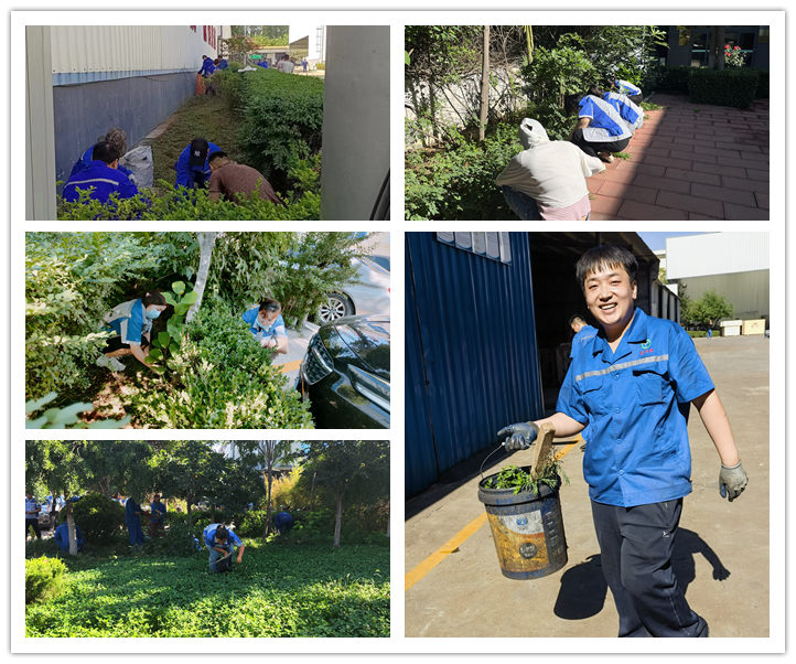 大家清扫、拾捡绿化带垃圾，清理路边缝隙死角内的烟头和杂物.jpg
