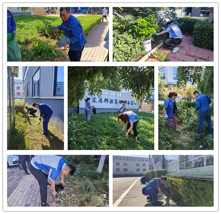 大家清扫、拾捡绿化带垃圾，清理路边缝隙死角内的烟头和杂物.jpg