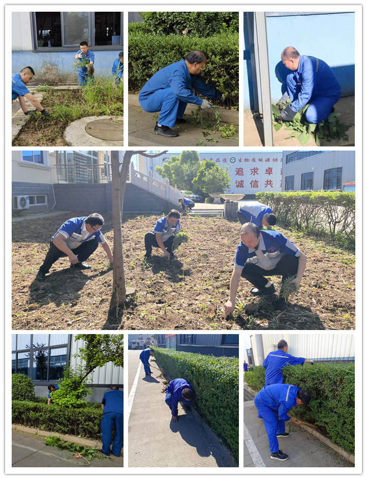 大家清扫、拾捡绿化带垃圾，清理路边缝隙死角内的烟头和杂物.jpg