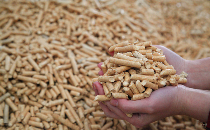 聊聊木屑颗?；纯此侨绾谓髦址掀锪献帕Ｈ剂系?JPG